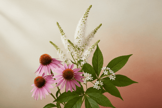 PA - K (Black Cohosh, Echinacea, Golden Seal), Tincture, Futures ETC