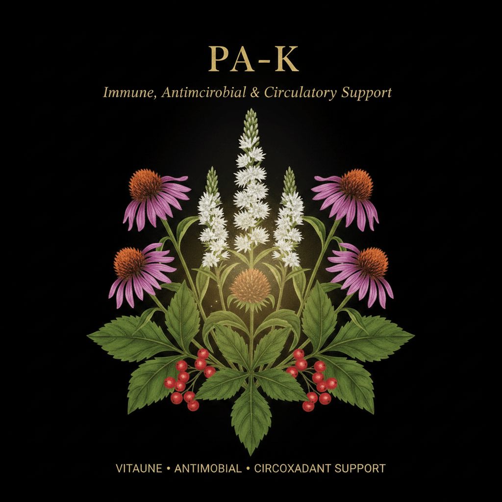 PA-K – Immune, Antimicrobial & Circulatory Support | Black Cohosh, Echinacea & Golden Seal, Tincture, Futures ETC