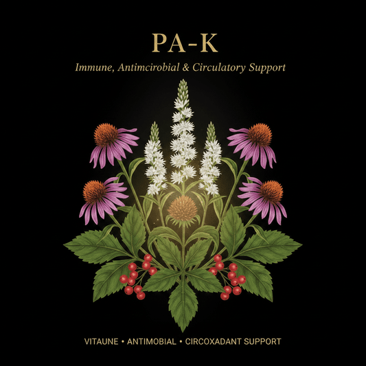 PA-K – Immune, Antimicrobial & Circulatory Support | Black Cohosh, Echinacea & Golden Seal, Tincture, Futures ETC