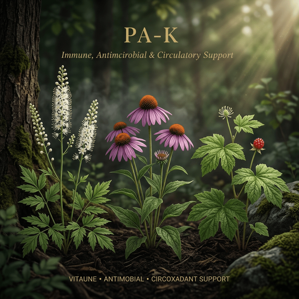 PA-K editorial image in golden botanical light