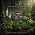PA-K editorial image in golden botanical light