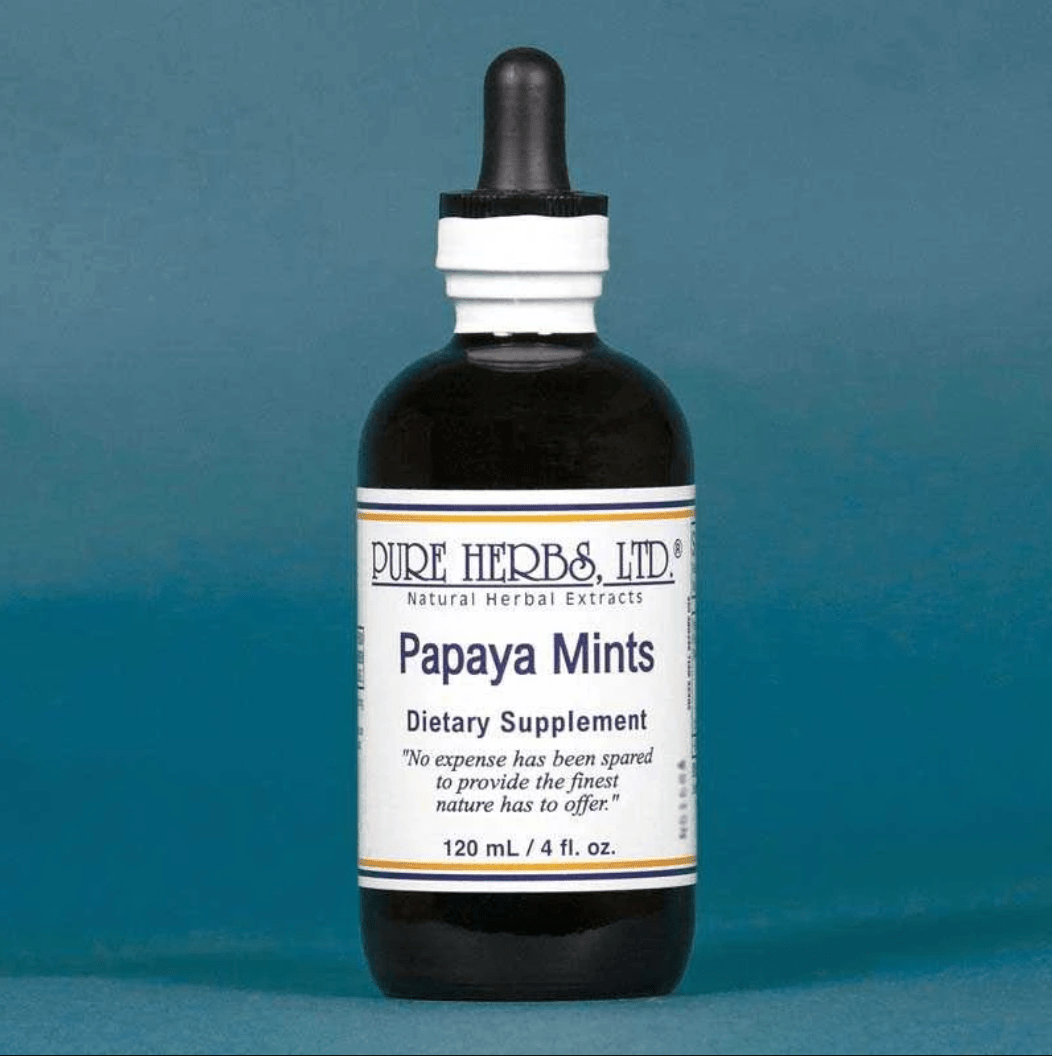 Papaya Mints – Digestive Enzyme & Soothing Support | Papaya, Peppermint Leaf & Spearmint Leaf, Tincture, Futures ETC