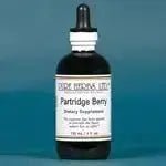 Partridge Berry (Mitchella repens) - Futures ETC Tincture