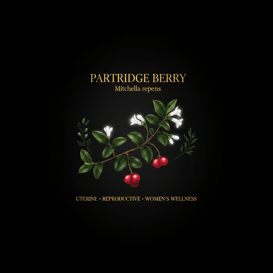 Partridge Berry (Mitchella repens) – Women's Reproductive & Urinary Health, Tincture, Futures ETC