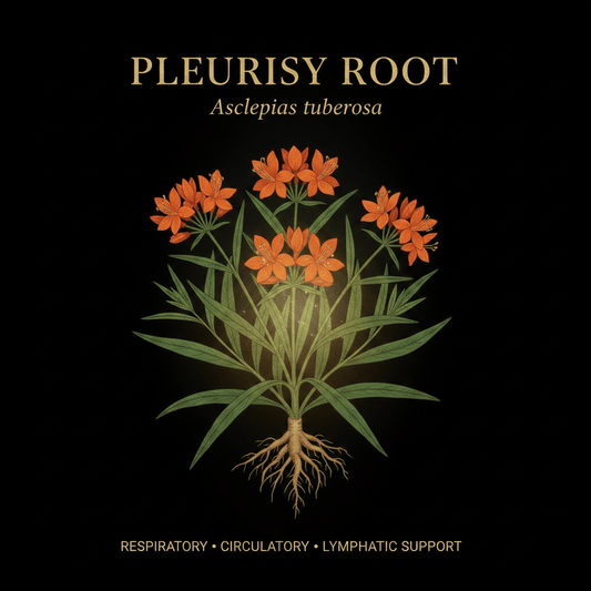 Pleurisy Root (Asclepias tuberosa) – Respiratory, Circulatory & Lymphatic Support, Tincture, Futures ETC