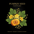 Pumpkin Seed (Cucurbita) – Antiparasitic, Prostate & Immune Support, Tincture, Futures ETC