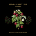 Red Raspberry Leaf (Rubus idaeus) – Reproductive & Digestive Health for Women, Tincture, Futures ETC
