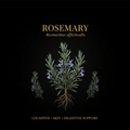 Rosemary (Rosmarinus officinalis) – Cognitive, Skin & Digestive Support, Tincture, Futures ETC