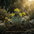 Rue editorial image in a golden-lit Mediterranean setting