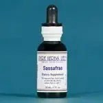 Sassafras (Sassafras albidum) - Futures ETC Tincture