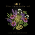 SB - T – Immune, Antioxidant & Lymphatic Support | Echinacea, Grape Seed, Green Ginger & Sanicle, Tincture, Futures ETC