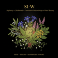 SI-W – Sinus, Immune & Respiratory Support | Bayberry, Chickweed, Gentian, Golden Seal, Oregon Grape & Wood Betony, Tincture, Futures ETC