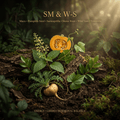 SM & W-S editorial image in golden botanical light