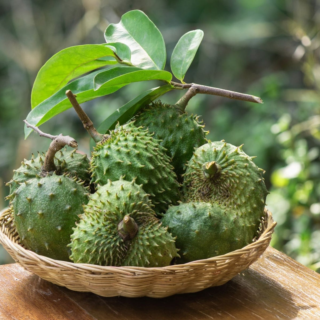 Soursop Leaf (Annona muricata), Elixir, Futures ETC