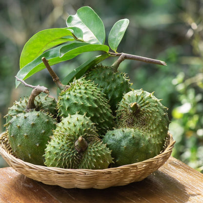 Soursop Leaf (Annona muricata), Elixir, Futures ETC