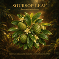 Soursop leaf botanical editorial image with gold serif text