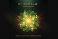 Soursop Leaf (Annona muricata), Elixir, Futures ETC