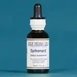 Spikenard (Aralia racemosa) - Futures ETC Tincture
