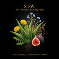 ST - W – Gentle Digestive Cleanse & Laxative Support | Aloe, Dandelion Root, Figs & Flax, Tincture, Futures ETC
