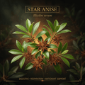Star anise botanical editorial image with gold serif text
