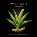 Sweet Root (Acorus calamus) – Digestive, Nerve & Respiratory Support, Tincture, Futures ETC