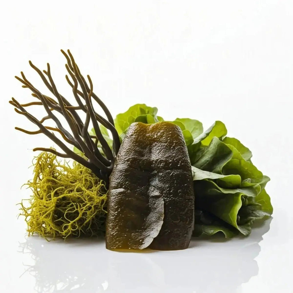 T - W for Thyroid, Digestive & Skin Health | Futures ETC - Futures ETC Tincture
