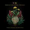 T - W – Thyroid, Metabolism & Endocrine Support | Bladderwrack, Dulse, Irish Moss & Wild Lettuce, Tincture, Futures ETC