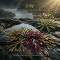 T-W editorial image in golden coastal light