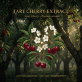 Tart cherry editorial image, regenerated without a frame