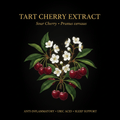 Tart Cherry Extract [Sour Cherry] (Prunus cerasus) – Anti - Inflammatory, Uric Acid & Sleep Support, Tincture, Futures ETC