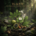 TG & P-W editorial image in golden woodland light