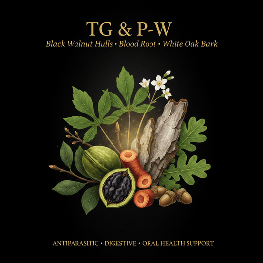 TG & P - W – Antiparasitic, Digestive & Oral Health Support | Black Walnut Hulls, Blood Root & White Oak Bark, Tincture, Futures ETC