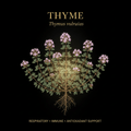 Thyme – Organic Liquid Herbal Extract, Herbal Tincture, Futures ETC