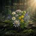 TRQ-RH editorial image in the saved golden-lit botanical style