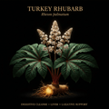 Turkey Rhubarb (Rheum palmatum) – Digestive Cleanse, Liver & Laxative Support, Tincture, Futures ETC