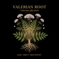 Valerian Root (Valeriana officinalis) – Sleep, Anxiety & Nerve Support, Tincture, Futures ETC