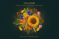 Vita-Lixir (Bee Pollen, Carrot Root, Dandelion Leaf, Gentian, Rice Bran, Sunflower Seed, Wheat Germ, Wild Rose Hips), Tincture, Futures ETC