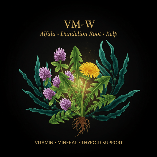 VM - W – Vitamin, Mineral & Thyroid Support | Alfalfa, Dandelion Root & Kelp, Tincture, Futures ETC