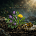 VM-W editorial image in golden botanical light