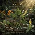 VVH-W editorial image in golden botanical light