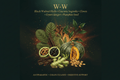 W-W Benefits – Antiparasitic, Colon Cleanse & Digestive Support | Black Walnut Hulls, Cascara Sagrada, Cloves, Green Ginger & Pumpkin Seed, Tincture, Futures ETC