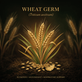Wheat germ botanical editorial image with gold serif text