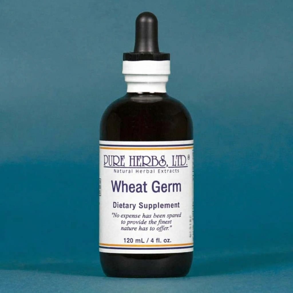 Wheat Germ (Triticum aestivum) – Nutritive, Antioxidant & Respiratory Support, Tincture, Futures ETC