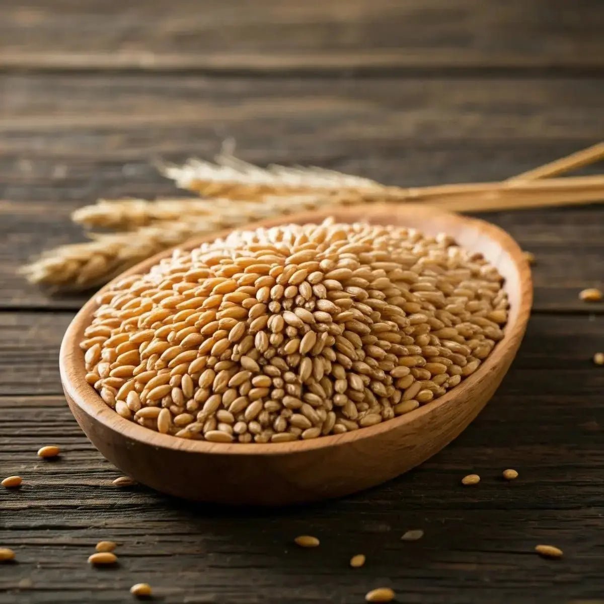Wheat Germ (Triticum aestivum) - Futures ETC Tincture