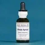 Whole Apricot Kernels (Prunus) - Futures ETC Tincture