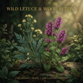 Wild lettuce and wood betony editorial image