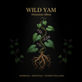 Wild Yam (Dioscorea villosa) – Hormonal Balance & Women's Wellness, Tincture, Futures ETC