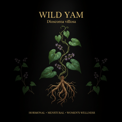 Wild Yam (Dioscorea villosa) – Hormonal Balance & Women's Wellness, Tincture, Futures ETC