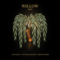 Willow (Salix) – Pain Relief, Anti - Inflammatory & Nerve Support, Tincture, Futures ETC