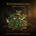 Wintergreen oil botanical editorial image with gold serif text